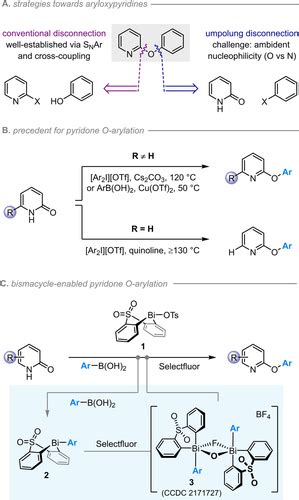 Umpolung Synthesis Of Pyridyl Ethers By BiVMediated OArylation Of