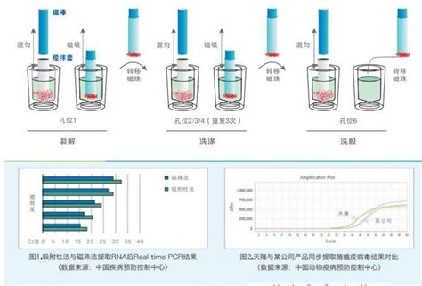 全自动核酸提取仪 Np968 C 天隆 适用于检验科，医院