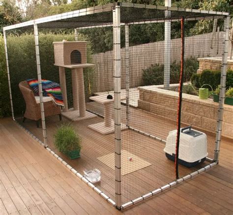 Safety Outdoors Cat Enclosures And Cages Purrfect Love Diy Cat Enclosure Outdoor Cat