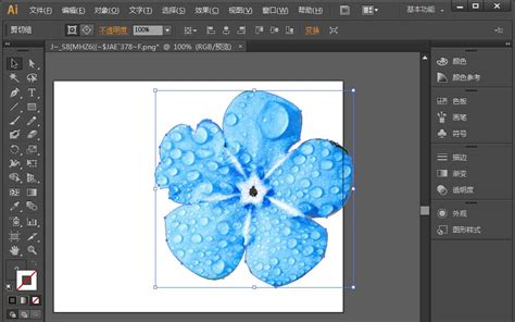 Ai怎么抠图 Ai快速抠出花朵的教程 Illustrator教程 悠悠之家