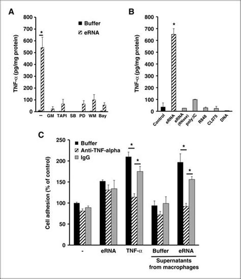 Extracellular Rna Liberates Tumor Necrosis Factor α To Promote Tumor