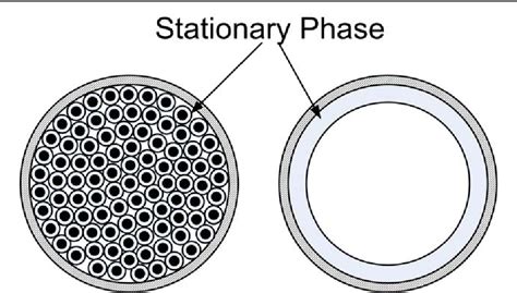 Column Gas Chromatography