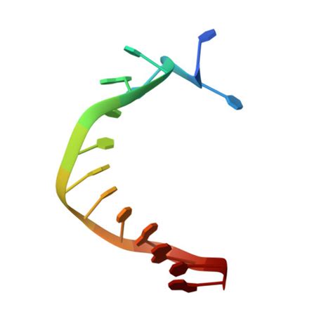 RCSB PDB 7MXX Crystal Structure Of Human Exonuclease 1 Exo1 R92A