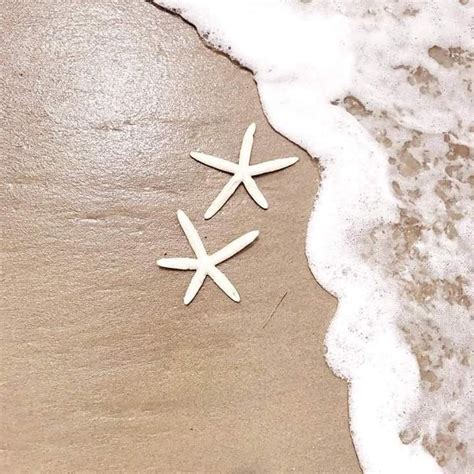 Two Starfishs Are Laying On The Sand Near The Ocean Water At The Beach