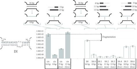 Sex Factor Conjugation Efficiency Of The Llltrb S8dorf Variants