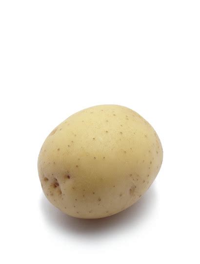 COLOMBA je sorta krumpira vrlo prikladna za rani iskop.