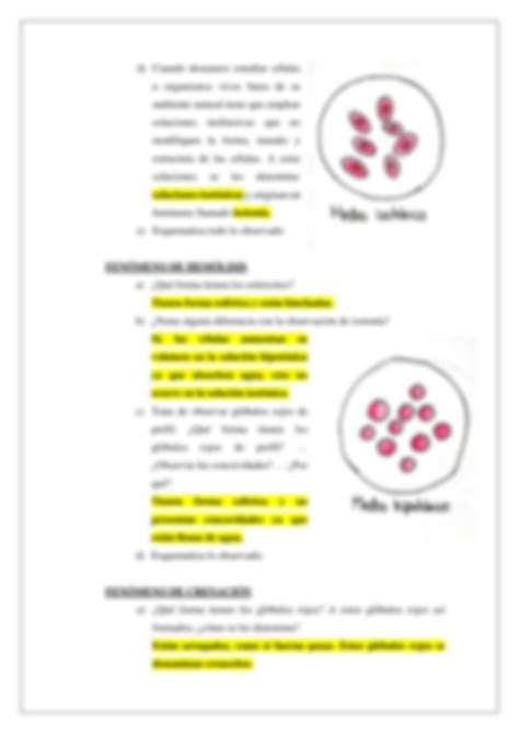 SOLUTION Unap Membrana Celular Resistencia De Los Eritrocitos En