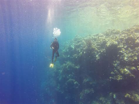 Persona Buceando Bajo El Agua Buzo Palau Dejar Oceano Tropical