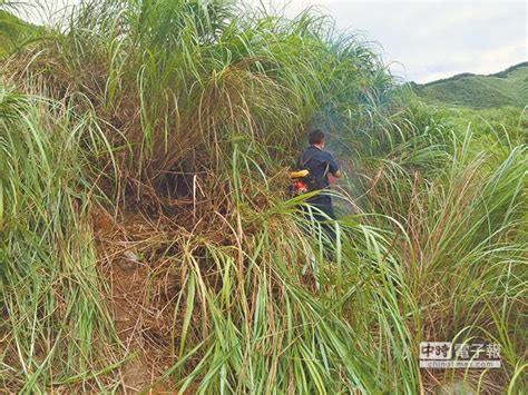 臺灣1個月內發生3起分屍案！射箭教練求歡遭拒殺人棄屍快訊台灣網