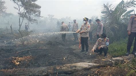 Belasan Hektare Lahan Di Tapteng Terbakar Pemadaman Terkendala