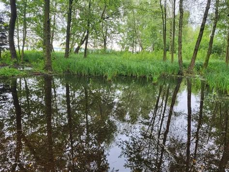 Хто зайняв острів посеред Світязя (фото) — новини