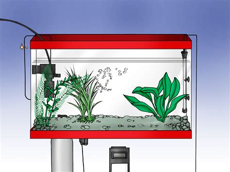 How to Set up an Aquarium With Live Plants: 12 Steps