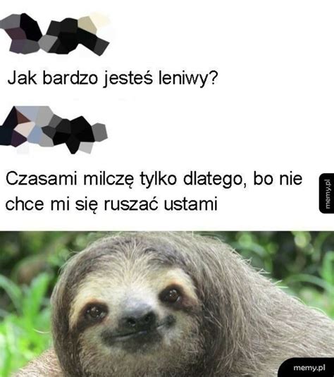 Puszka Pandory Memy Pl