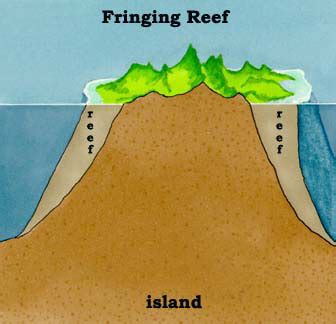 Fringing Reef