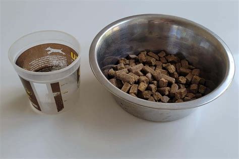 Adding Water To Dry Dog Food Pros Cons And How To Add Water World Of