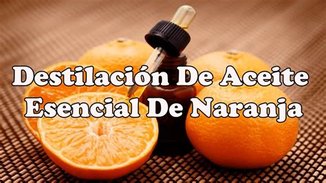 Destilacion De Naranja Para Obtener Extractos Esenciales Youtube