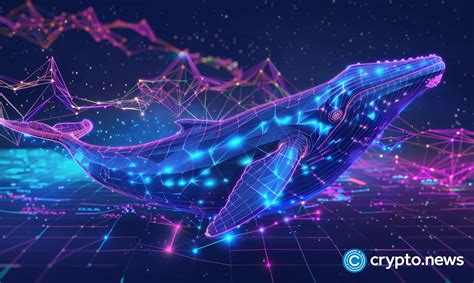 Dtx Exchange Builds Excitement With M Presale As Ton Xrp Whales