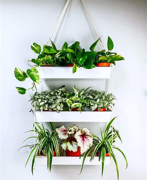 Lalagreen Hanging Wall Planter Inch Three Tier Plant Hanger For