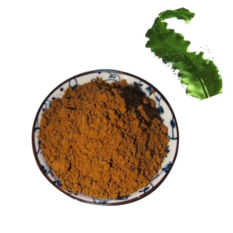 Laminaria Japonica Extract Laminarin 50 Kelp Polysaccharide China