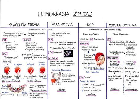 Hemorragia de la 2 Mitad Embarazo Fiorella Saldaña Alvarado uDocz