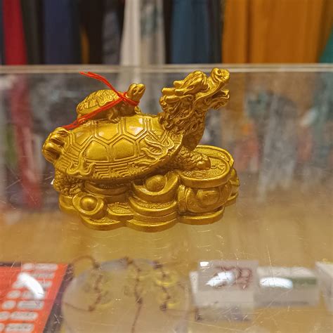 Tortue Feng Shui Dharma Fr