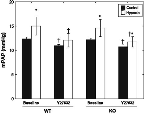 Figure 1 From Patchy Deletion Of Bmpr 1 A Potentiates Proximal