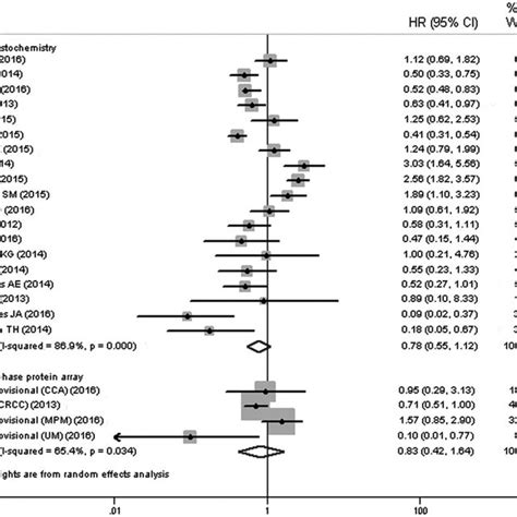 Subgroup Forest Plot Assessing Correlation Of BAP1 Expression And OS By