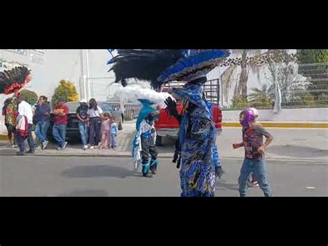 Carnaval San Lorenzo Almecatla Youtube