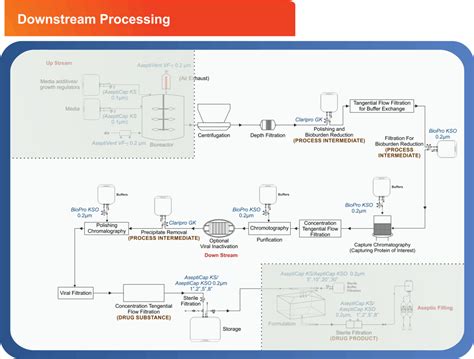 Downstream Processing