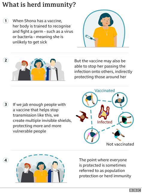 Covid Report What Is Herd Immunity Bbc News