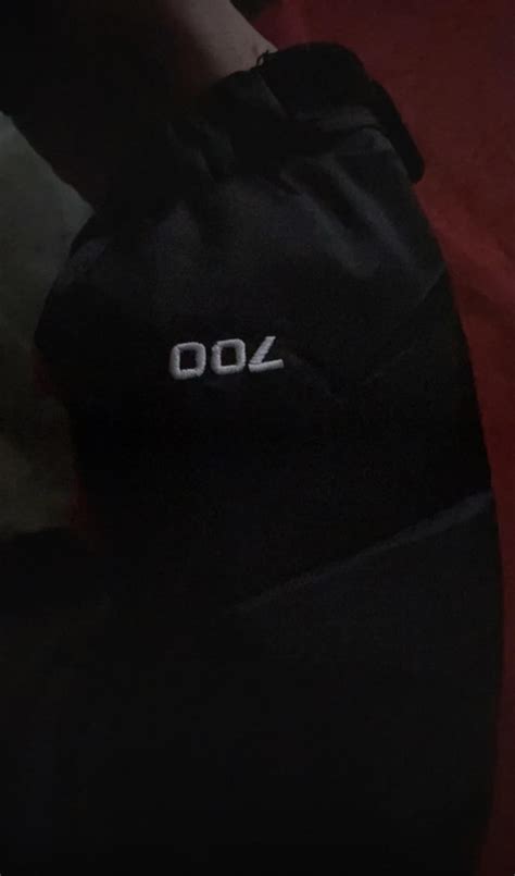 Is this the north face 700 real? : r/FashionReps