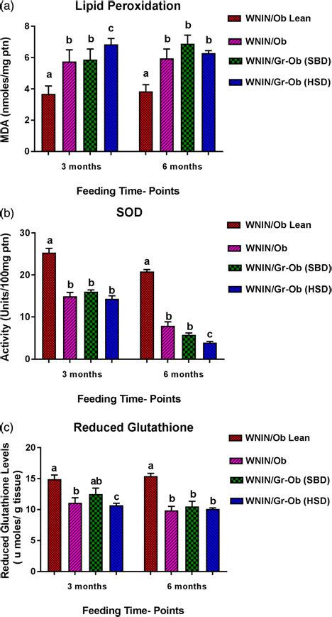 Oxidative Stress Markers And Antioxidants Enzymatic And Non Enzymatic