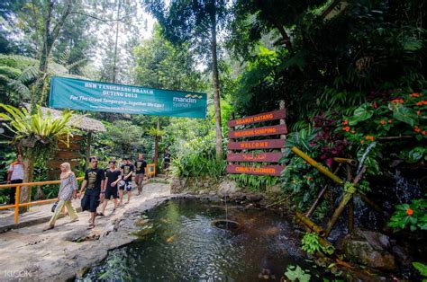 Curug Cilember (Cilember Waterfall) Ticket in Bogor