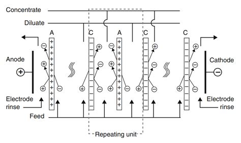 Understand The Basics Of Electrodialysis Reversal Edr A Complete Guide