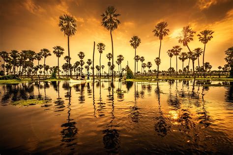 400000 Kostenlose Hintergrund Palmen Und Palmen Bilder Pixabay