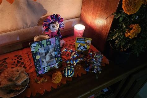 DÍA DE MUERTOS 2023 cómo hacer el ALTAR para las MASCOTAS y cuándo