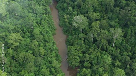 View From Above Stunning Aerial View Of The Taman Negara National Park