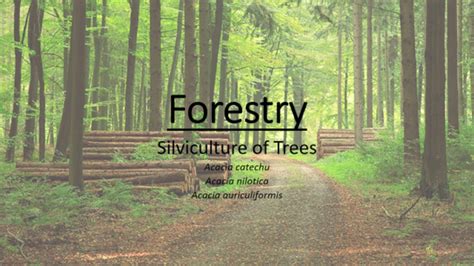 Silviculture Of Trees Indian Forestry Lecture Youtube