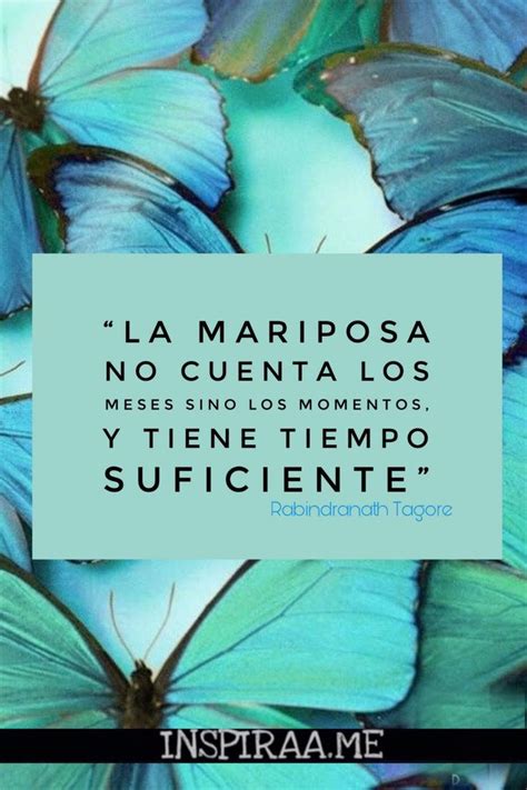 Frases De Mariposas