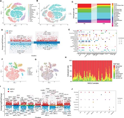 Frontiers Identification Of The Shared Gene Signatures And Molecular