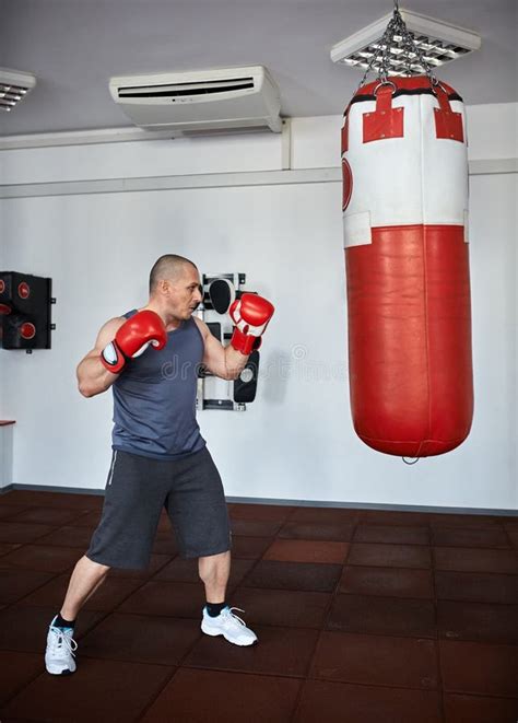 Boxer training in a gym stock image. Image of kick, fight - 85251181