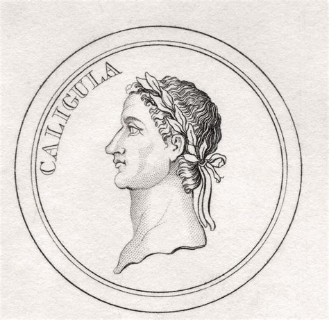 Augustus Caesar Drawing