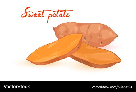 Cartoon fresh sweet potato Royalty Free Vector Image