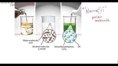 Solubility In Water Youtube
