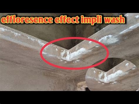 Efflorescence Effect White Salt Patches In Brick Work Sand YouTube