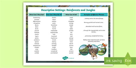 KS2 Rainforest Descriptive Writing Word Mat Profesor Hizo