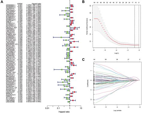 Construction And Validation Of A Prognostic Signature Based On Anoikis