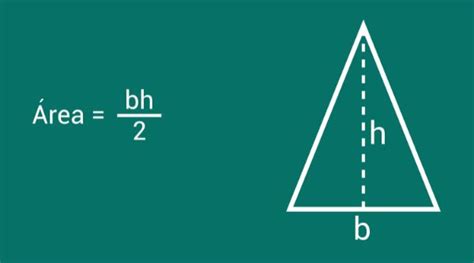 Mejorar Evitar Meseta Como Calcular El Area Total De Un Triangulo