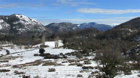 Ola De Frío Polar Alerta Por Nieve En Tres Provincias