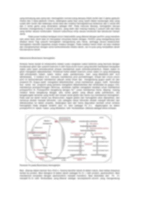 Solution Essai Eritropoesis Studypool